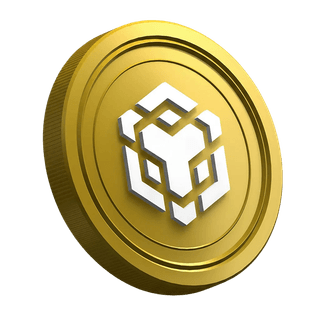 Token BNB de Binance mostrado en la guía dirigida a traders principiantes